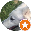 Singye Dolma profile picture